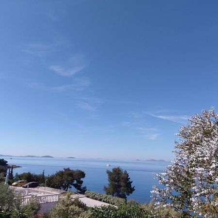 Amazing Villa Galeb In مورتير الغرفة الصورة